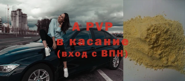 индика Касимов