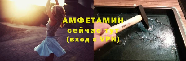 прущие грибы Козельск