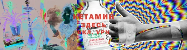 прущие грибы Козельск